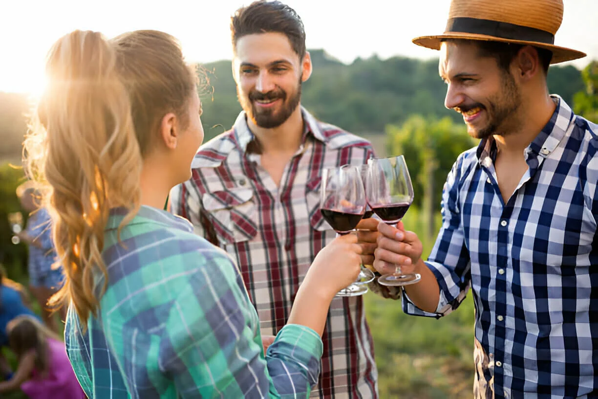 wine-tour Wine tour