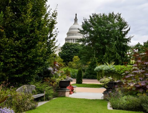 Best Transportation for Botanical Events in DC This Summer